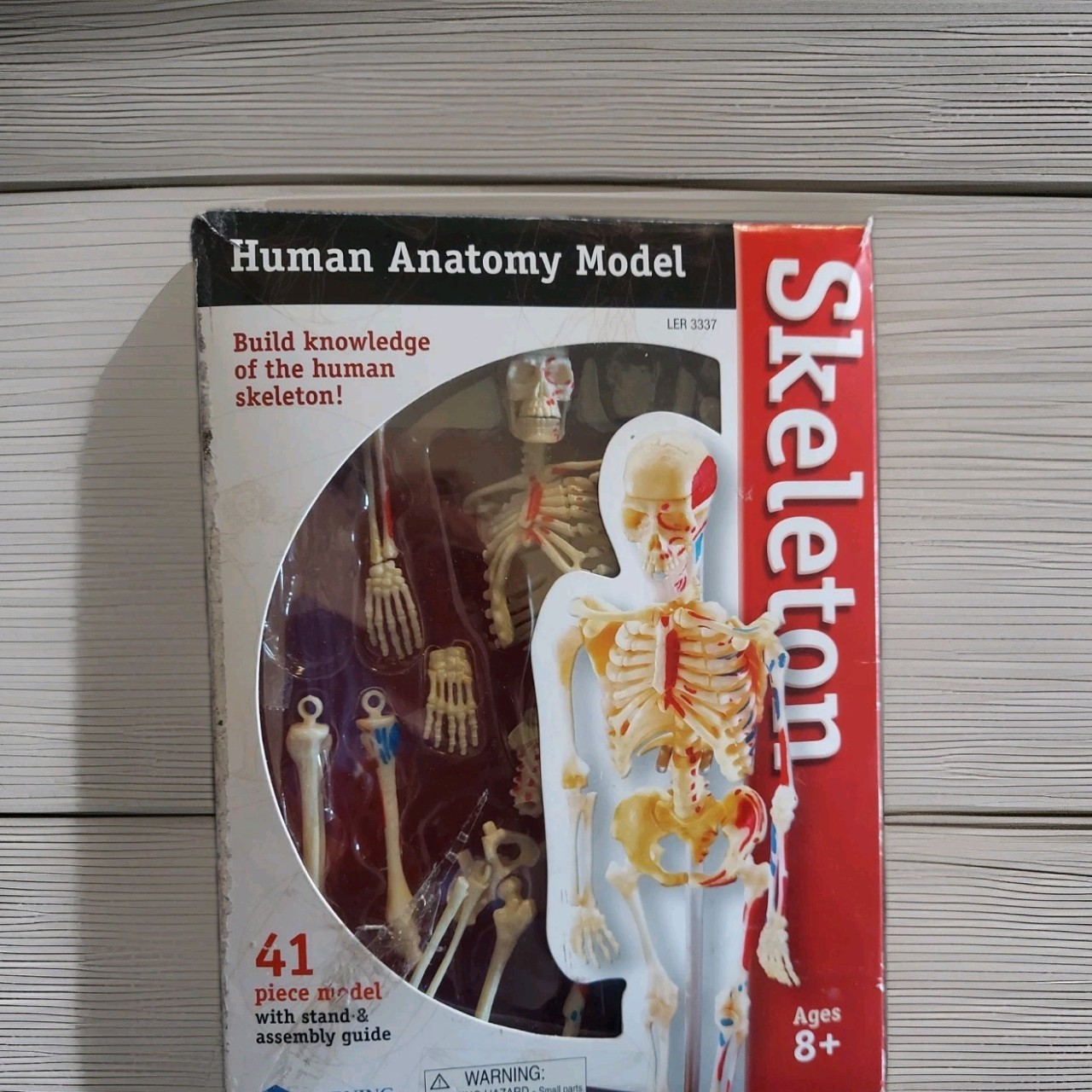 Learning Resources Skeleton Anatomy Model - Missing 1 Piece