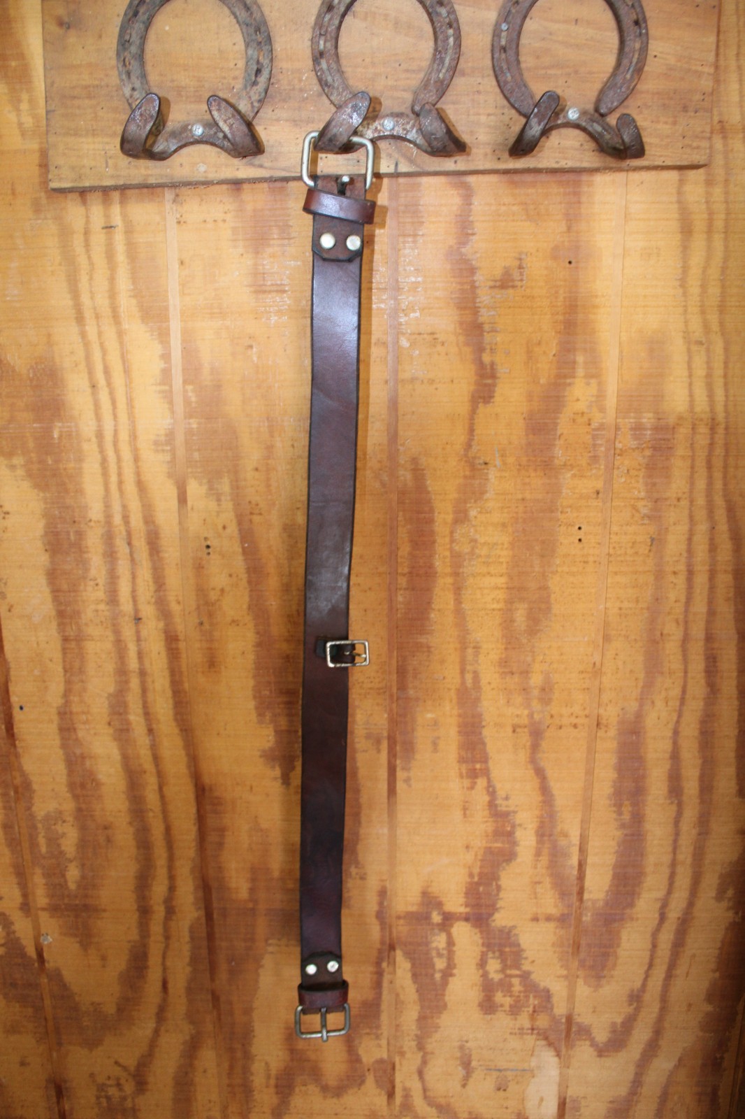 Rear Cinch 34