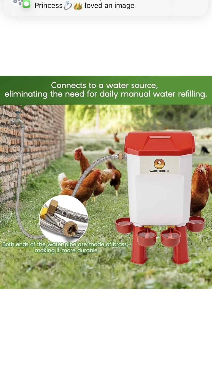 Automatic Chicken Waterer Large Chicken Waterer System