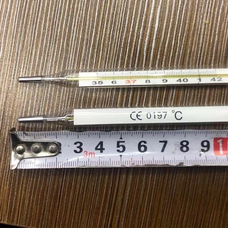 12pcs Dual Scale Clinical Thermometer Glass-Free Design for Home Use