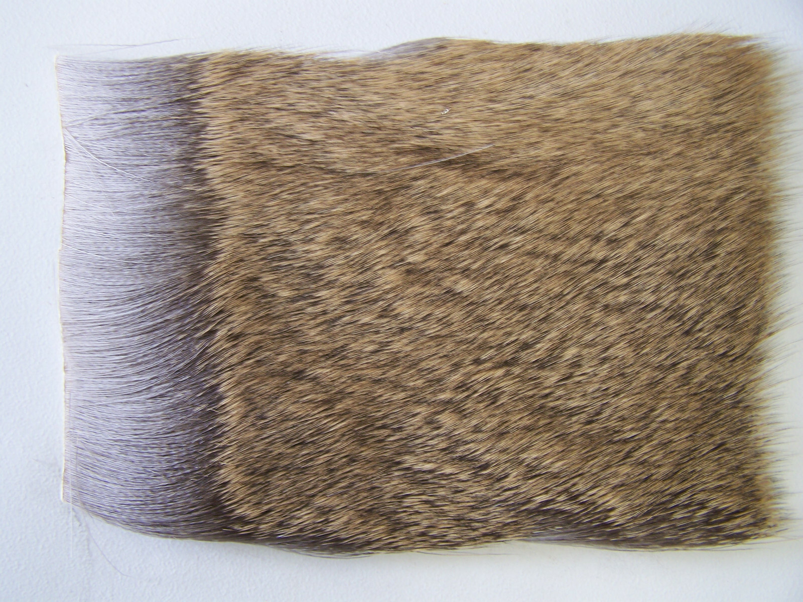 30 sq. in. 1 1/2-2" long, DEER HAIR for Spinning, tanned, fly tying material