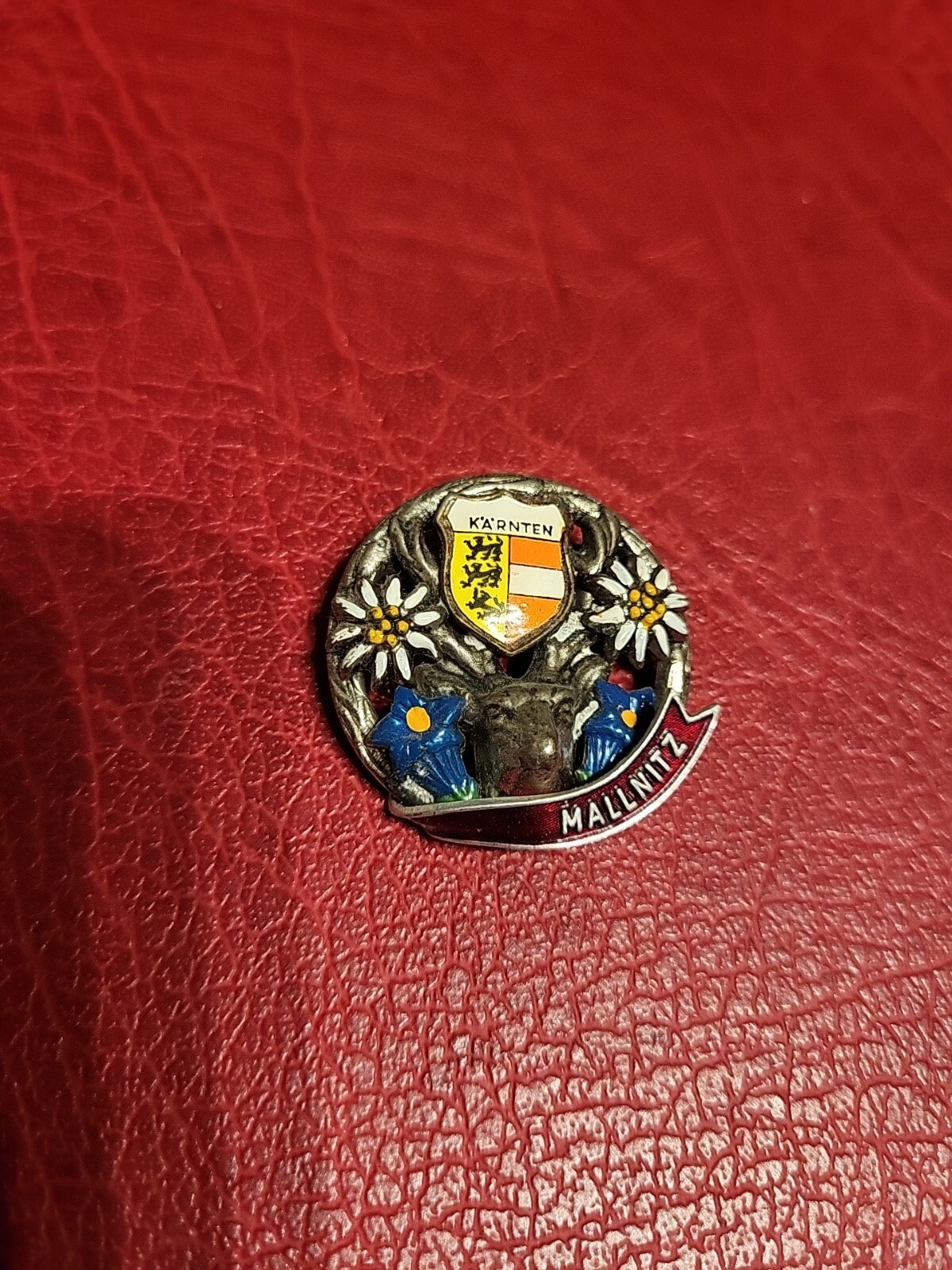 Pin hat pin hiking pin brooch Mallnitz