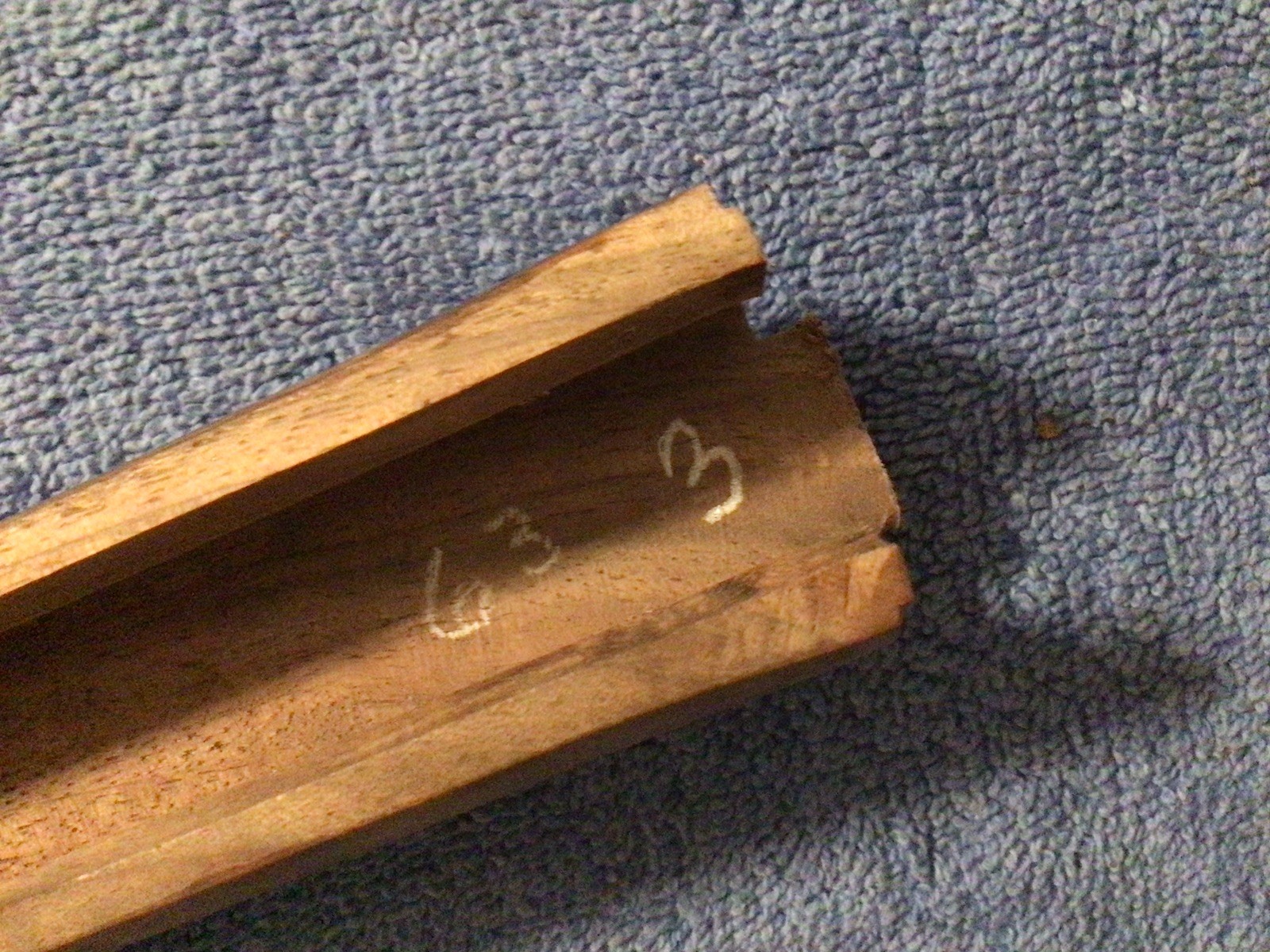 Winchester Model 63 Rifle Forend Walnut Repro