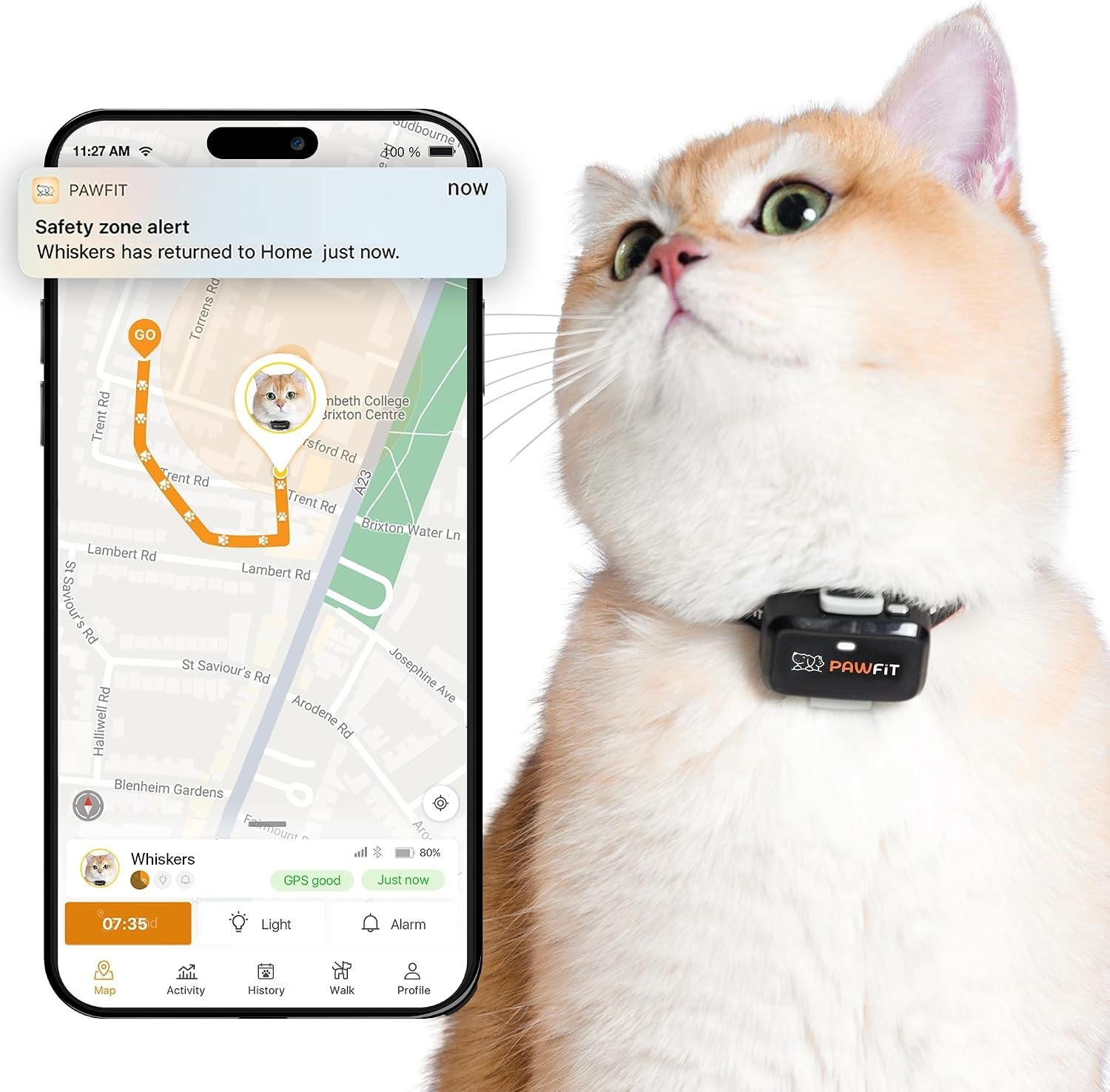 Lite for Cats 4g GPS Tracker | Ultra-Small 18g Design | Real-Time Tracking |...