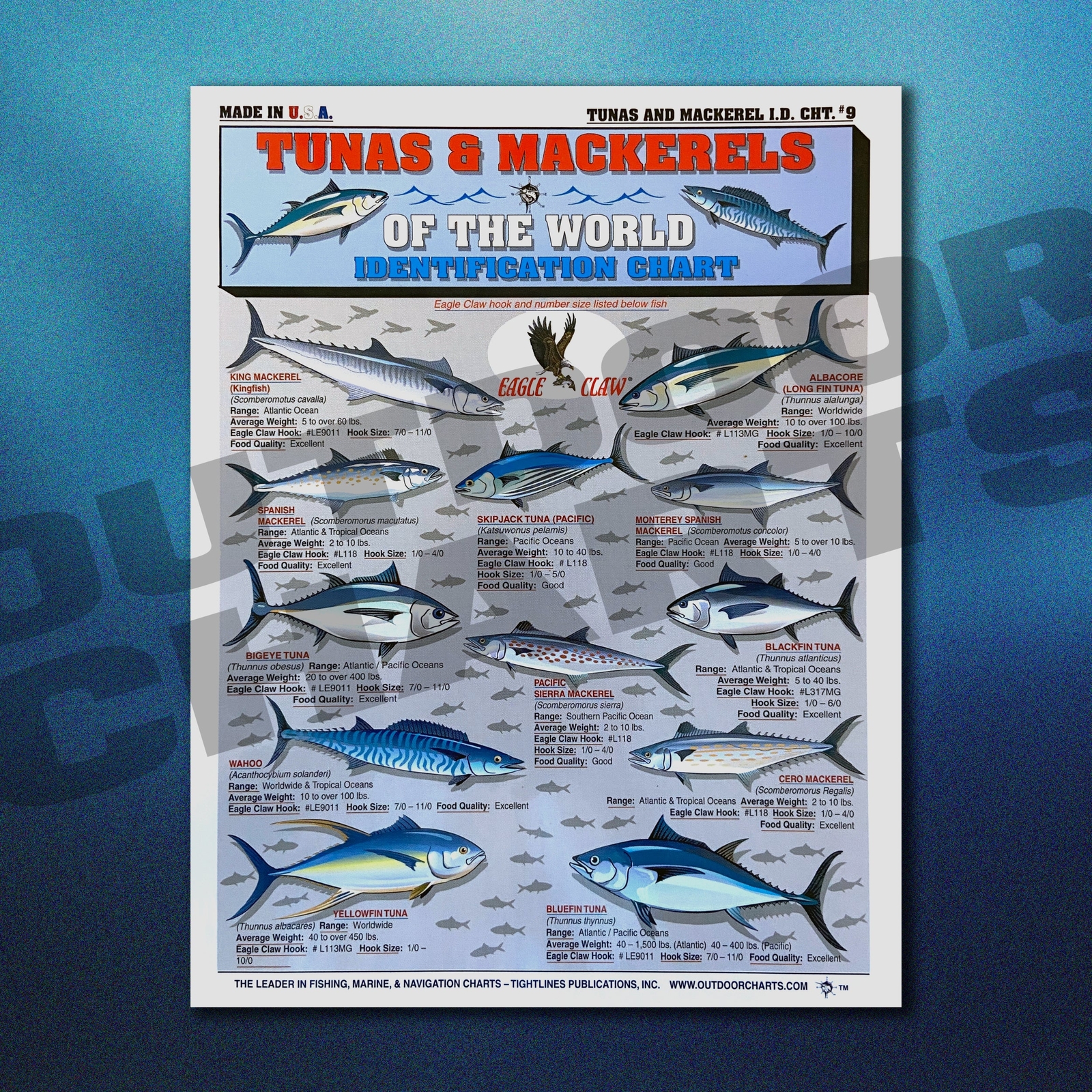 Tunas & Mackerels of The World Fish Identification #9 - Waterproof Quick Referen