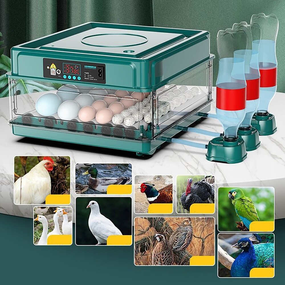 10 Eggs Fully Automatic Intelligent Double Electric Incubator Household Chicken