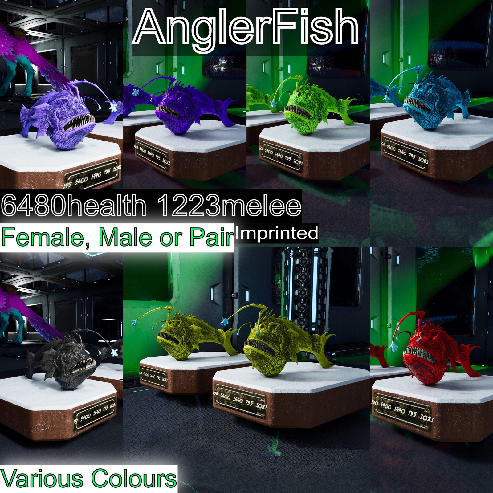 Angler Anglerfish / SOLIDS ASA PVE 🦖ARK Survival Ascended