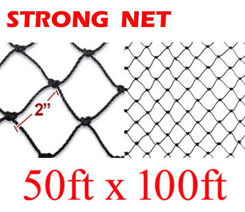 STRONG X-Large 100'X50' Anti Bird Agriculture Poultry Game Fish Netting-2" Hole