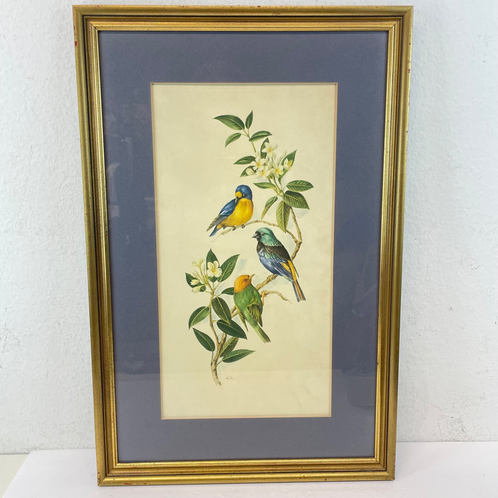 ANTQ A. Marlin Signed Wood Framed Art  Song Bird Litho Art Originals