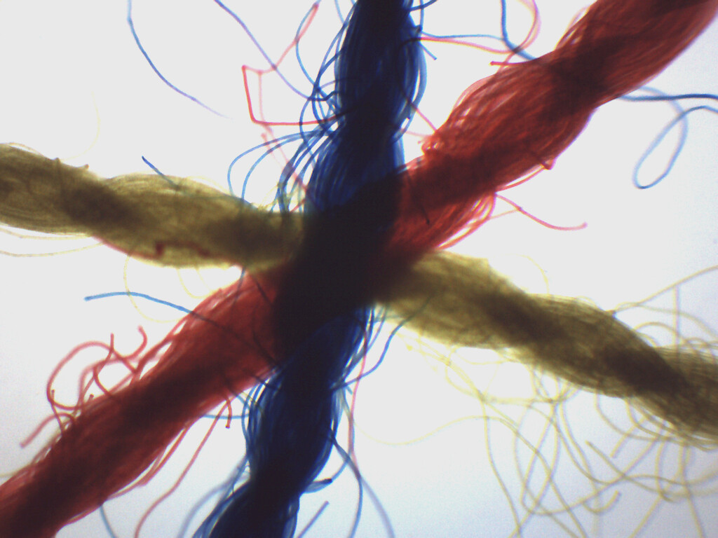Crossed, Colored Threads - Prepared Microscope Slide - 75x25mm - Eisco Labs