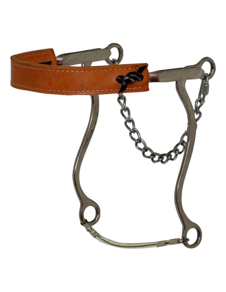 Diamond R Bit Hackamore Leather Nose Mechanical 8 Silver DR056
