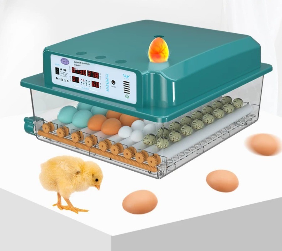 Incubator: Compact, Home-Use, Fully Automatic Smart Egg Incubator