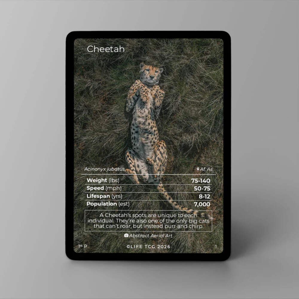 Mammals Photography Choose Your Card! — Photo #1-#3 | LIFE TCG | 1st Edition