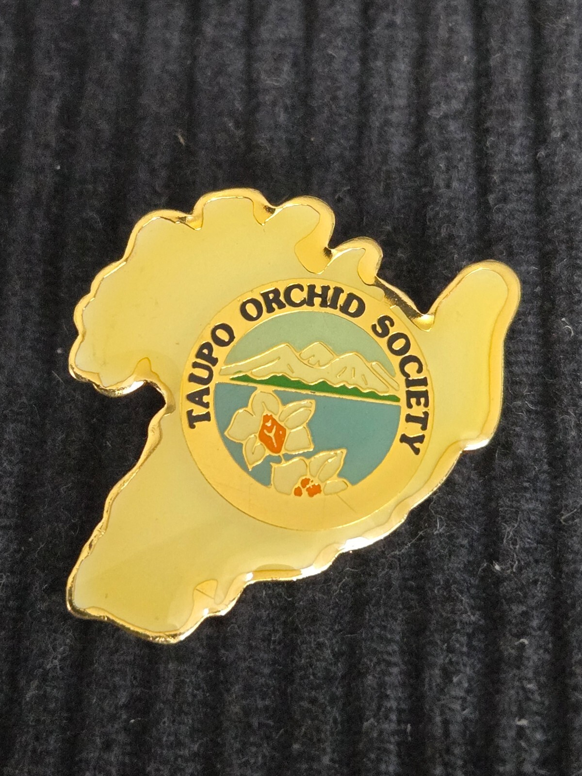 TAUPO ORCHID SOCIETY ➔ ORCHID ➔ Pin / Pins *From Collection* 16634