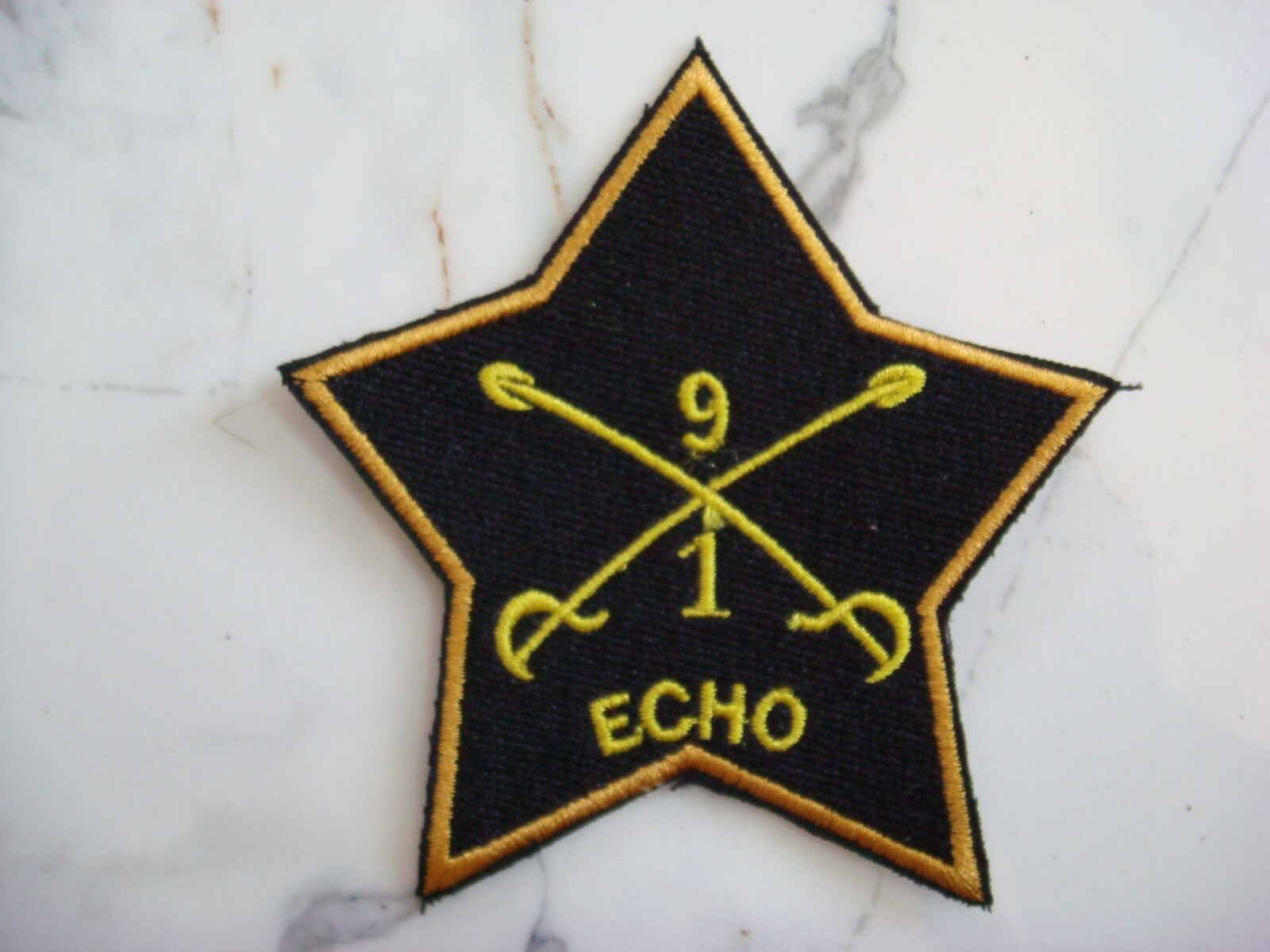 US 1st SQUADRON 9th CAVALRY REGIMENT " ECHO " TEAM, VIETNAM WAR PATCH