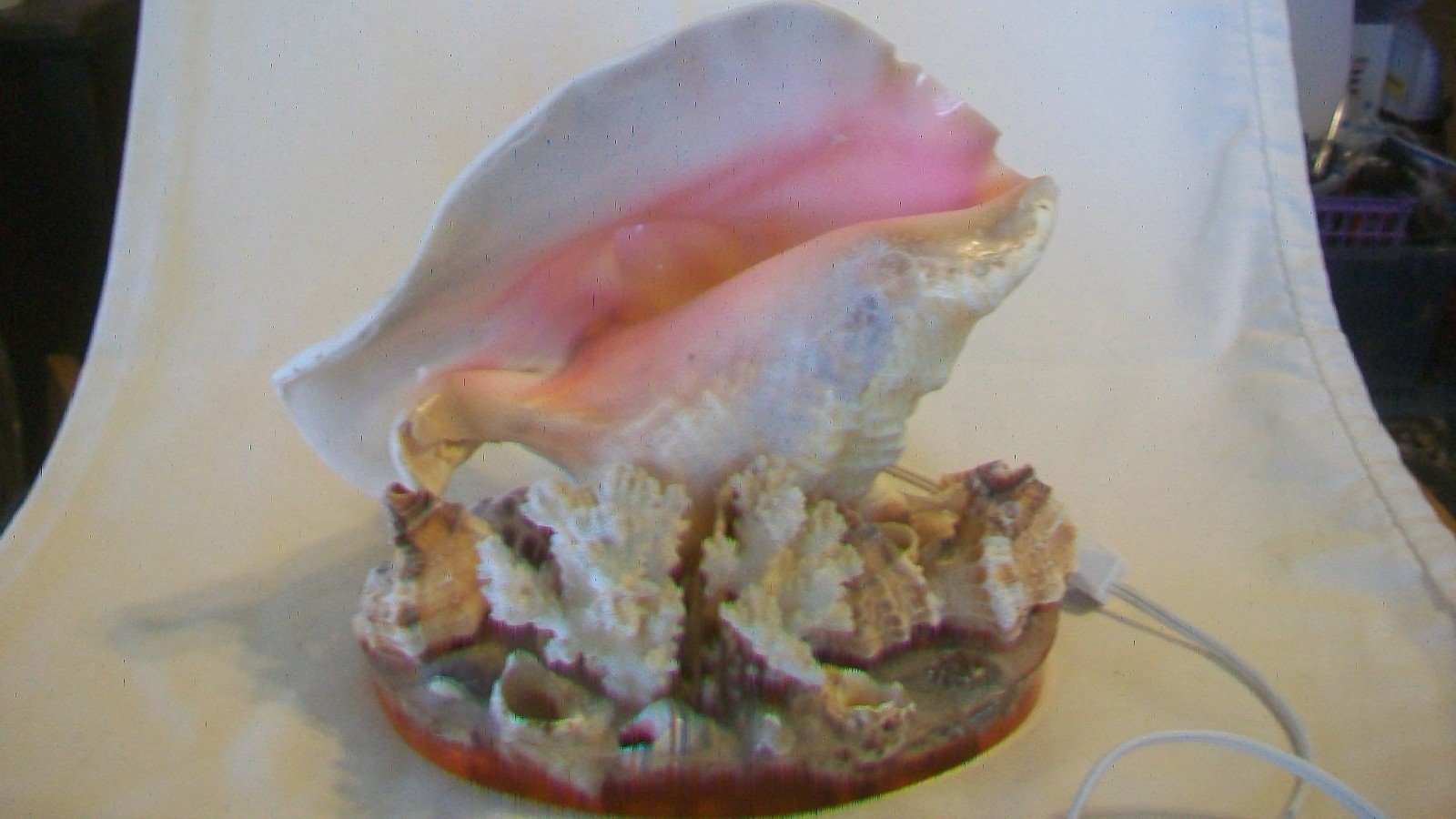 Conch Seashell Night Light with Many Other Shells on Clear Resin Base