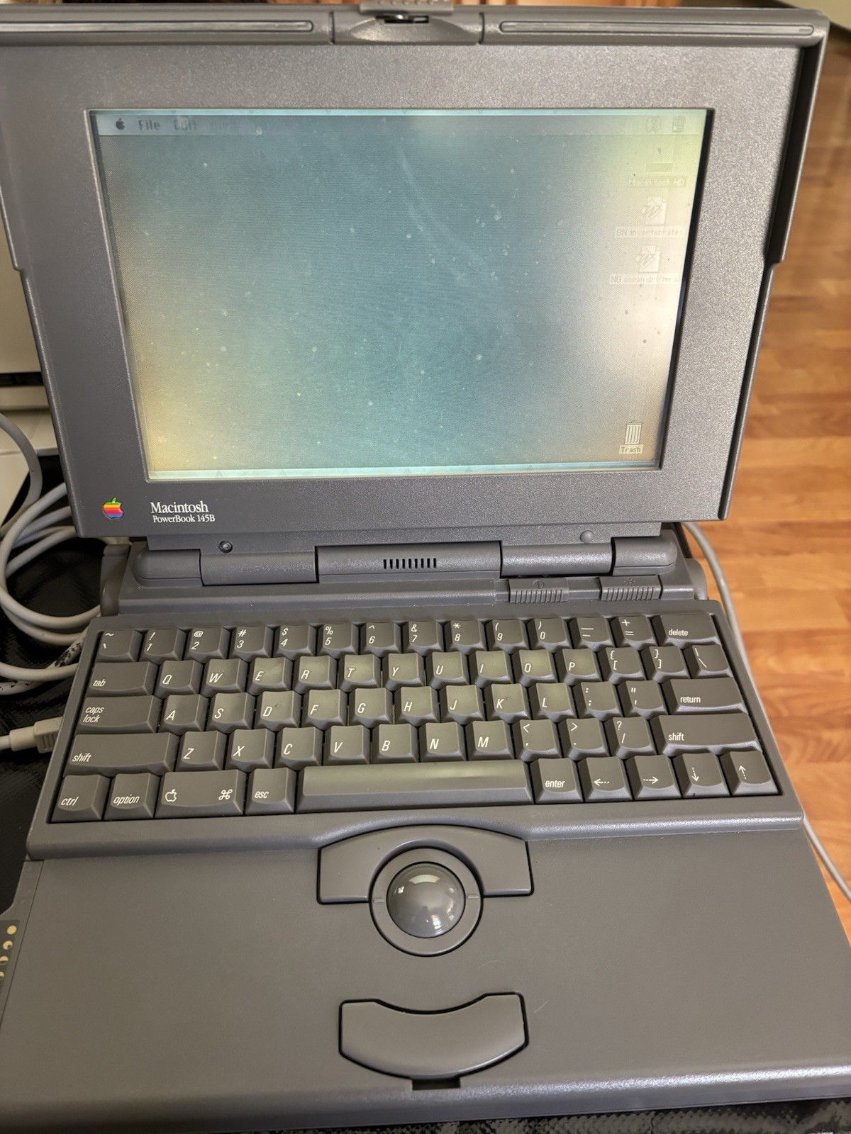 Macintosh Powerbook 145. Working, With Cords, Bag And StyleWriter II - Vintage
