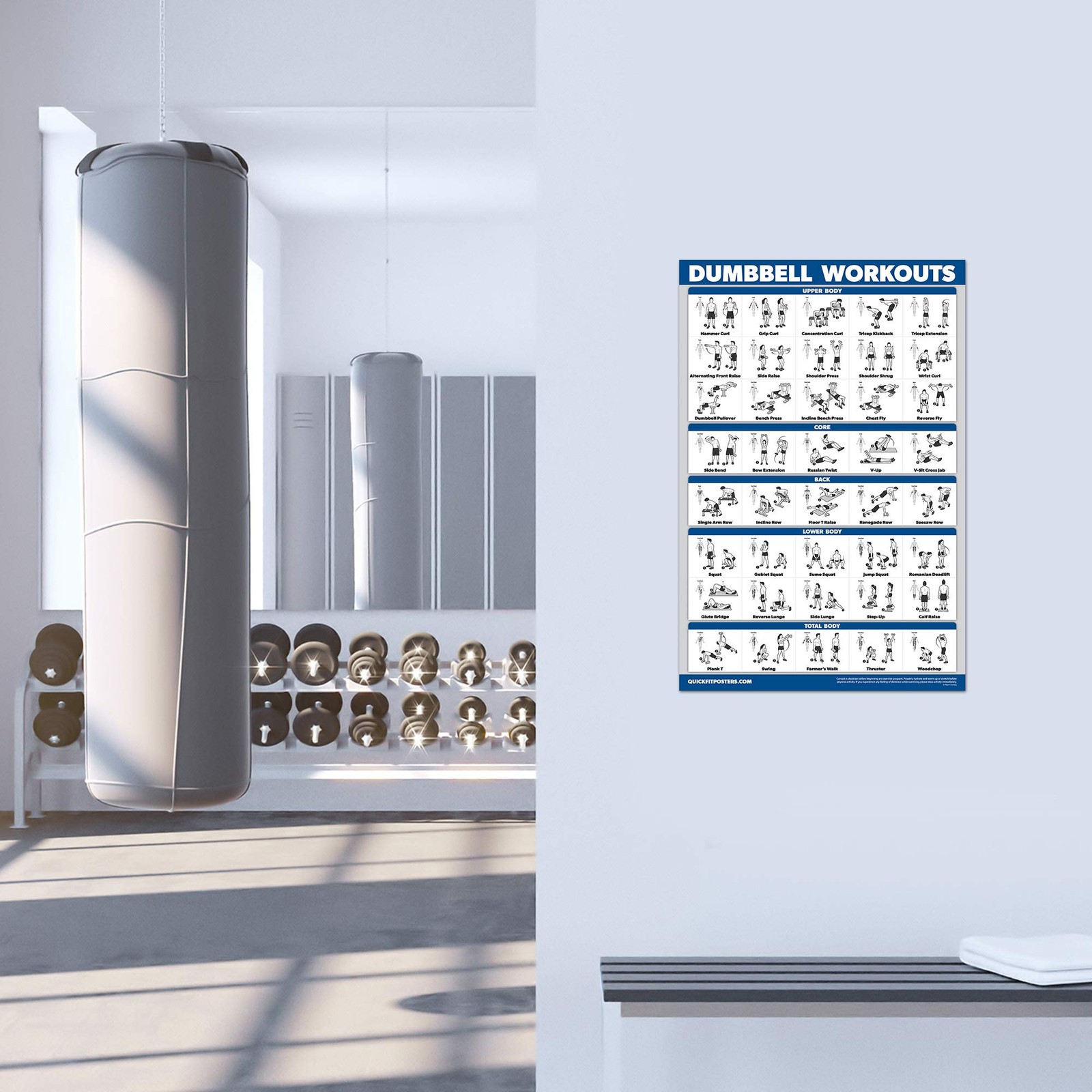 Palace Learning 4 Pack - Dumbbell Workouts + Bodyweight 18” x 24”, LAMINATED