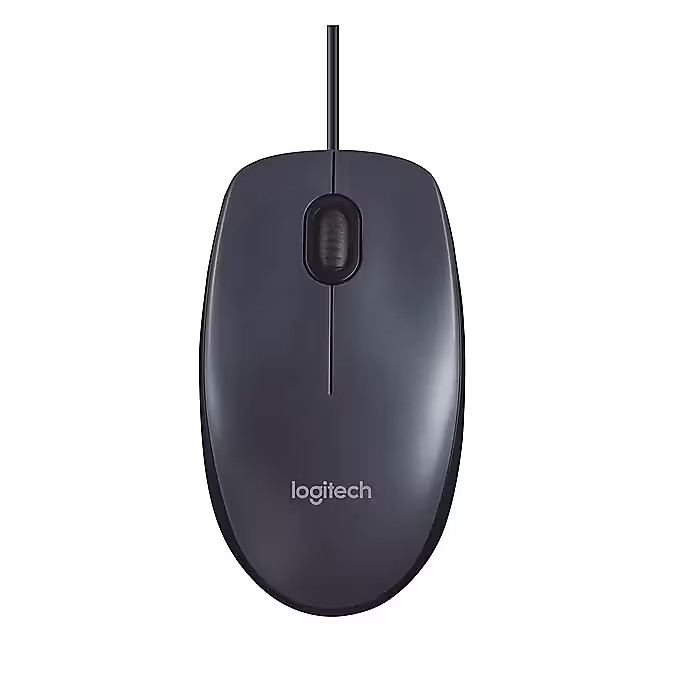 Logitech B100 (910-001439) Optical USB Mouse for Laptop, PC & Chromebook, Black