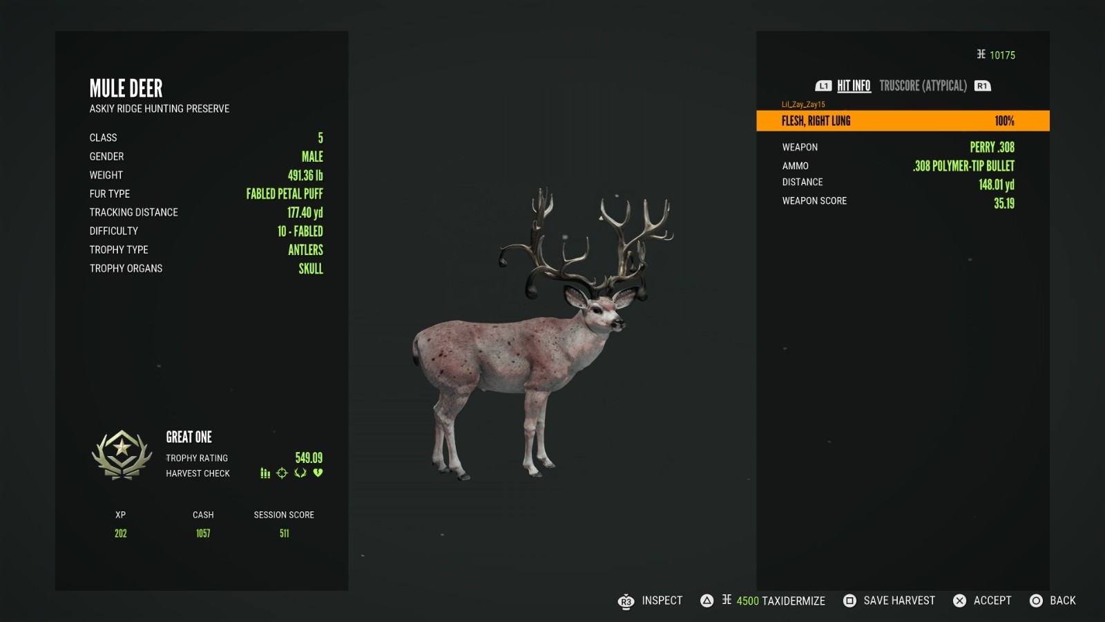 great one mule deer hunter call  of the wild
