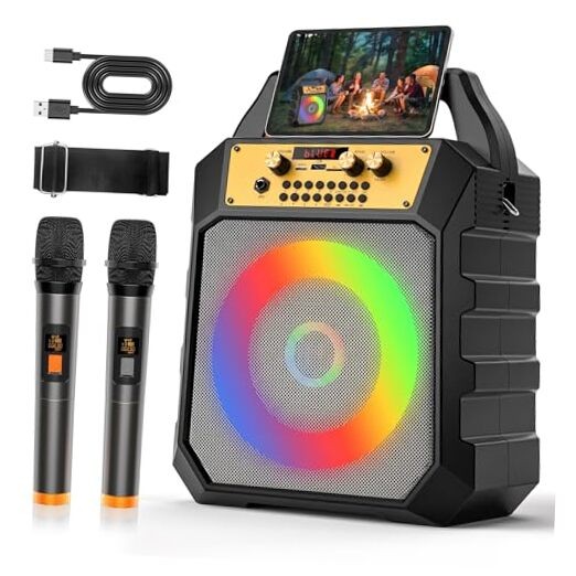 Portable Karaoke Machine for Adults & Kids Coaxial Speaker with 2 171-gray