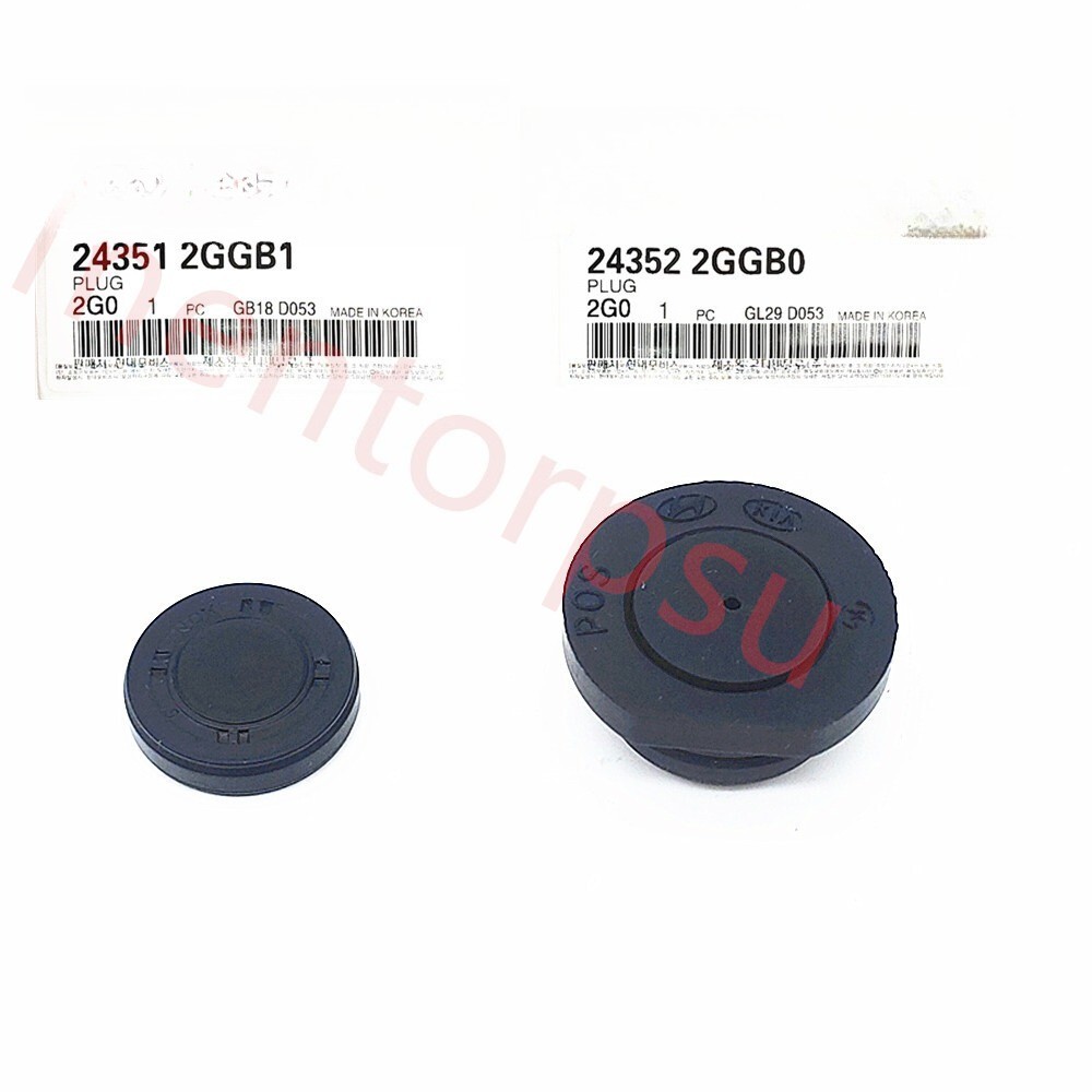 2PC Camshaft Plug For 2015-2024 Hyundai Genesis Kia 2.4L 24352-2GGB0 24351-2GGB1