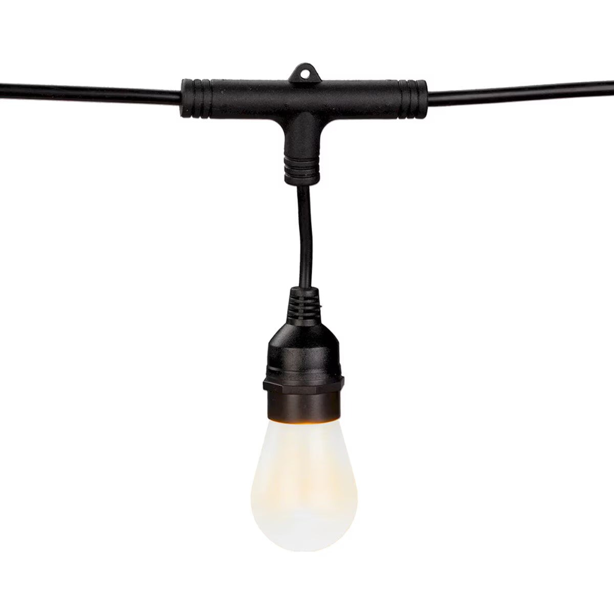 American Lighting String Light 48' 2' Spacing RGBW Spektrum+