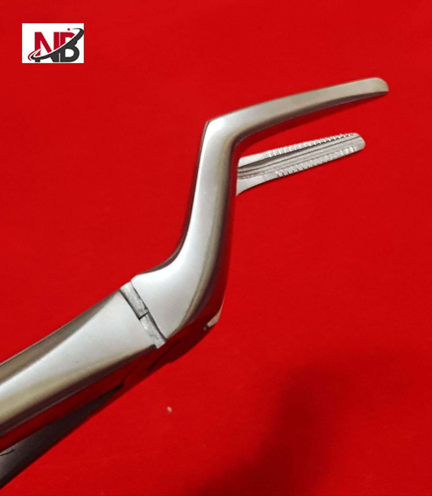 #51A DENTAL EXTRACTING EXTRACTION FORCEPS,UPPER ROOTS 51A,SERRATED HANDLE