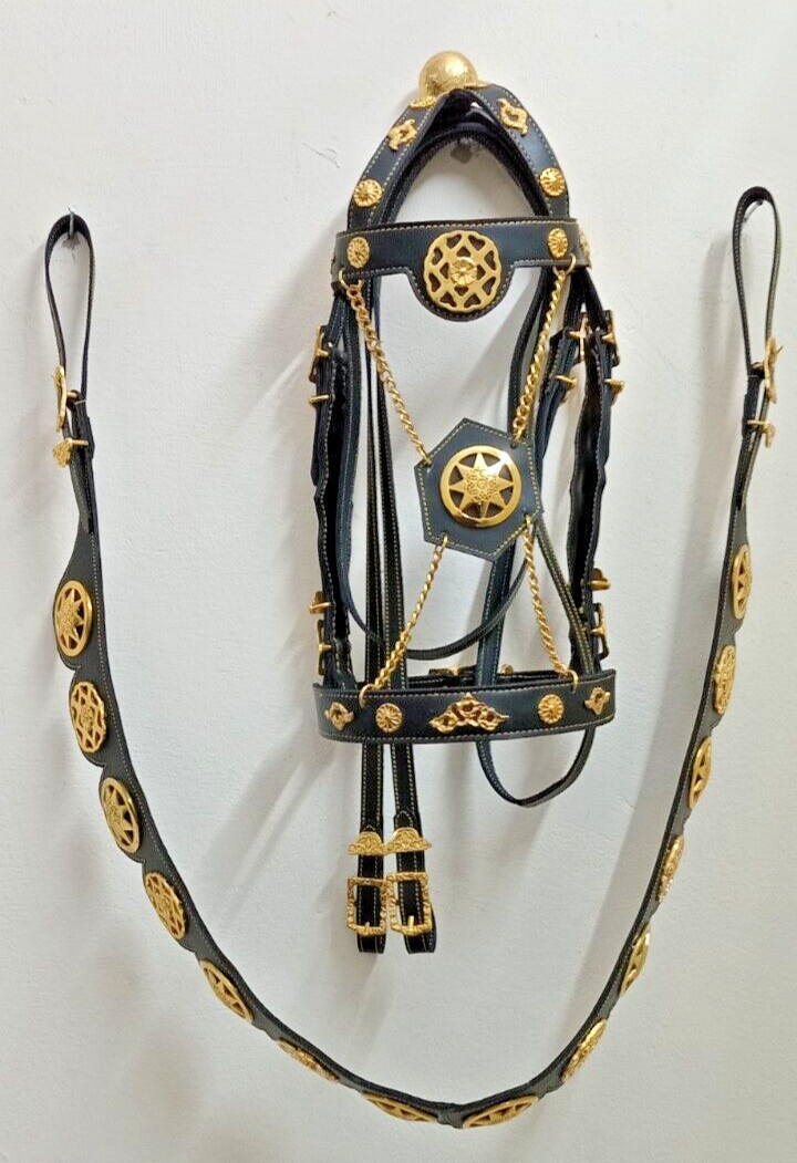 Custom Handmade Western Horse Bridle & Breast Collar Set – Black Leather with Go