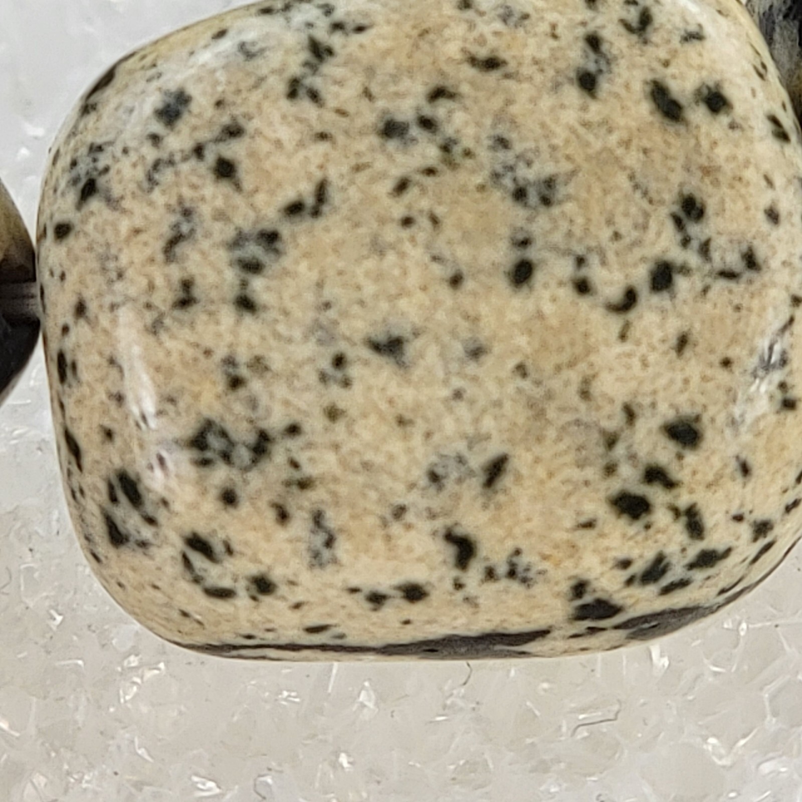 Dalmatian Jasper Beaded Stretch Bracelet 6.5" Sizable