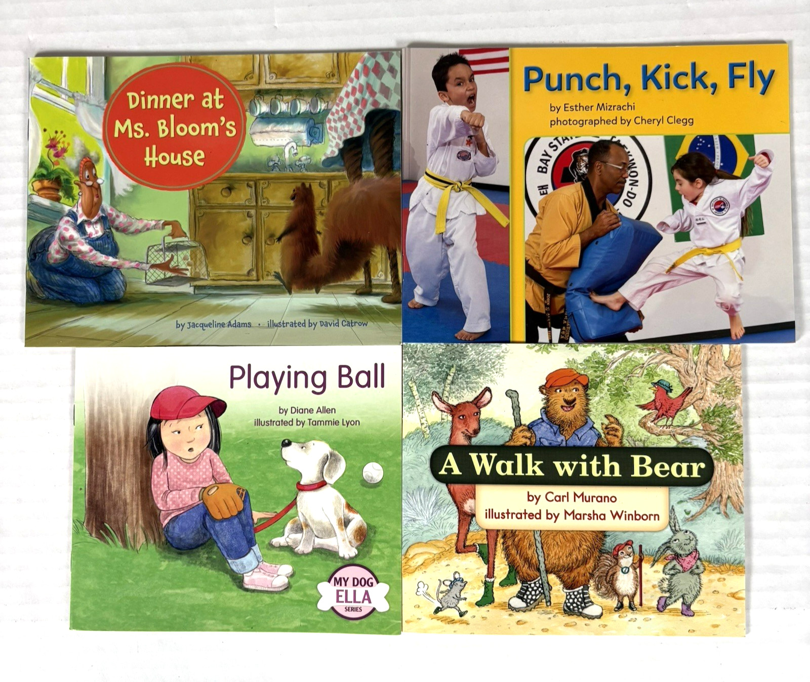 1st Grade Readers Multi-Level Reading Library #3 – 24 Homeschool Books
