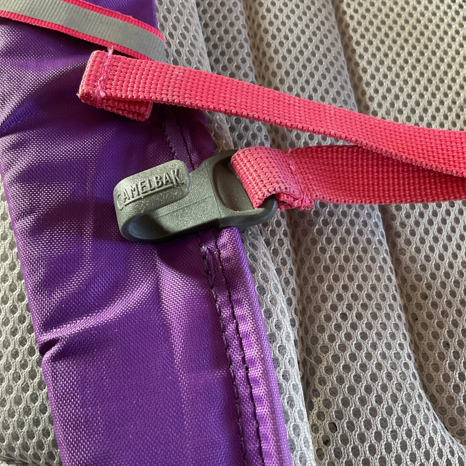 Camelbak Scout Backpack Purple and Pink