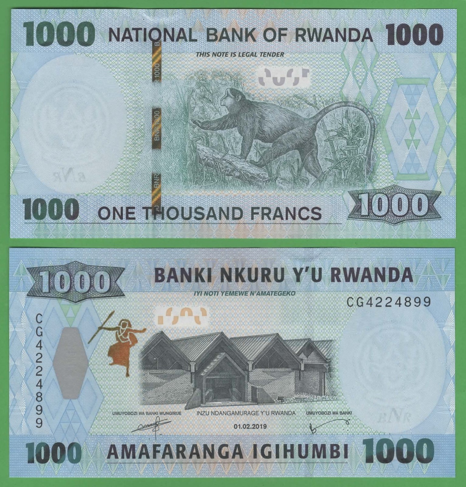 Rwanda 1000 Francs 2019 UNC P-142 Golden Monkey Wildlife Banknote