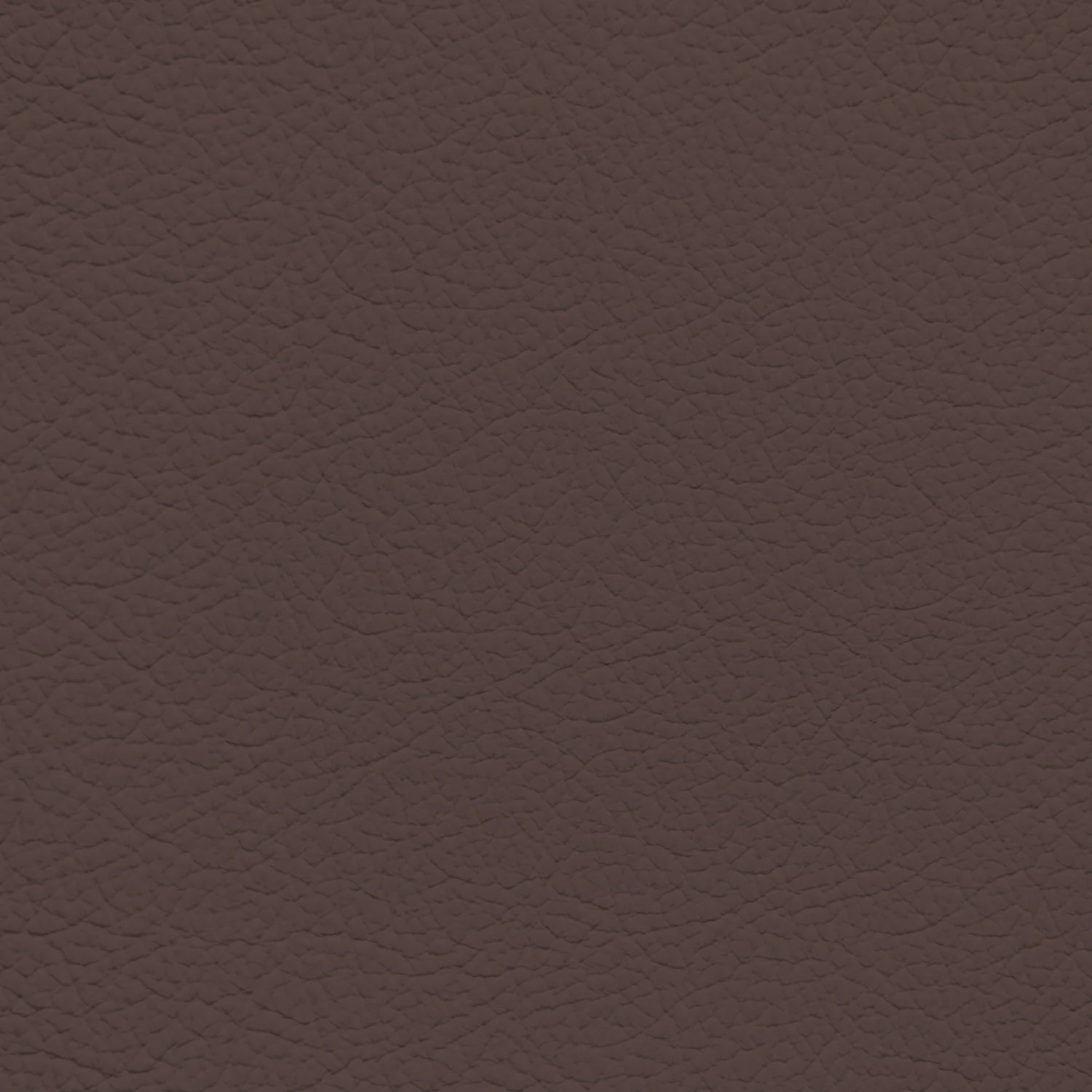 Infiniti Java Leather Dye