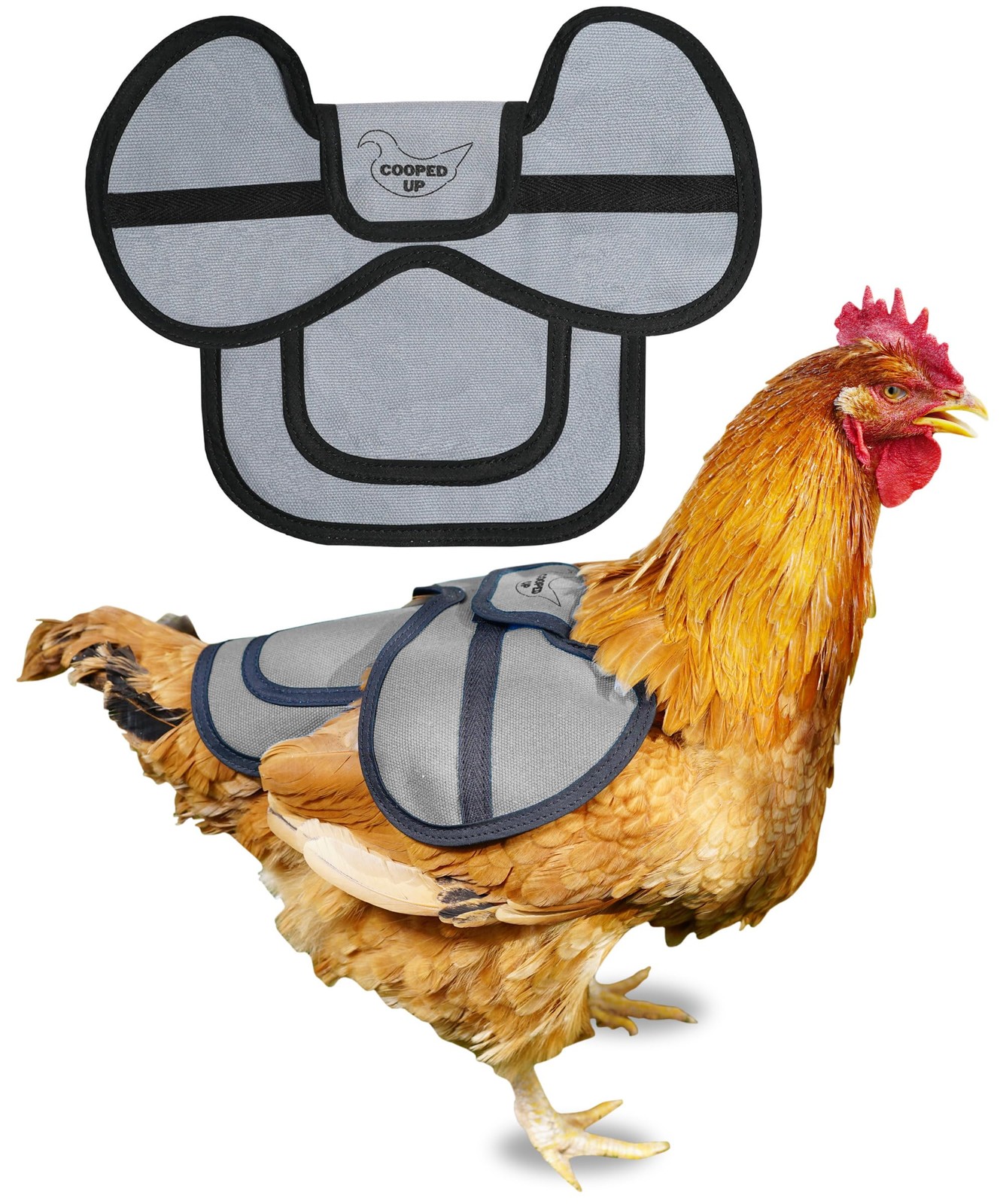 Canvas Chicken Saddle for Hens with Larger Wing Cover & Adjustable Straps - Dura