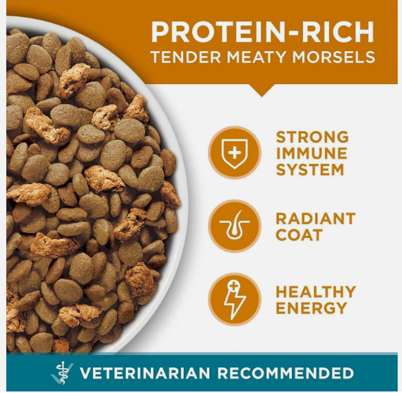 Purina ONE Natural Dry Cat Food, Tender Selects Blend With Real Chicken, 22 lbs