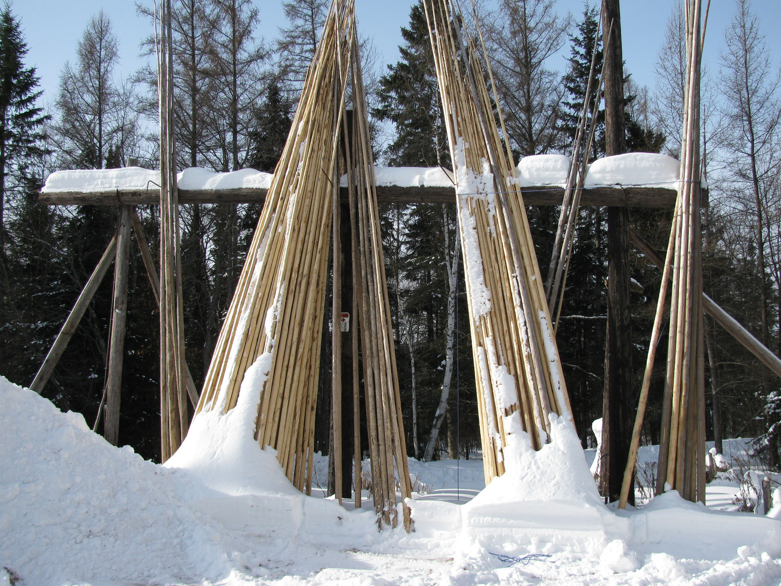 Hand Crafted Tipi Poles Teepee Poles Tepe Poles