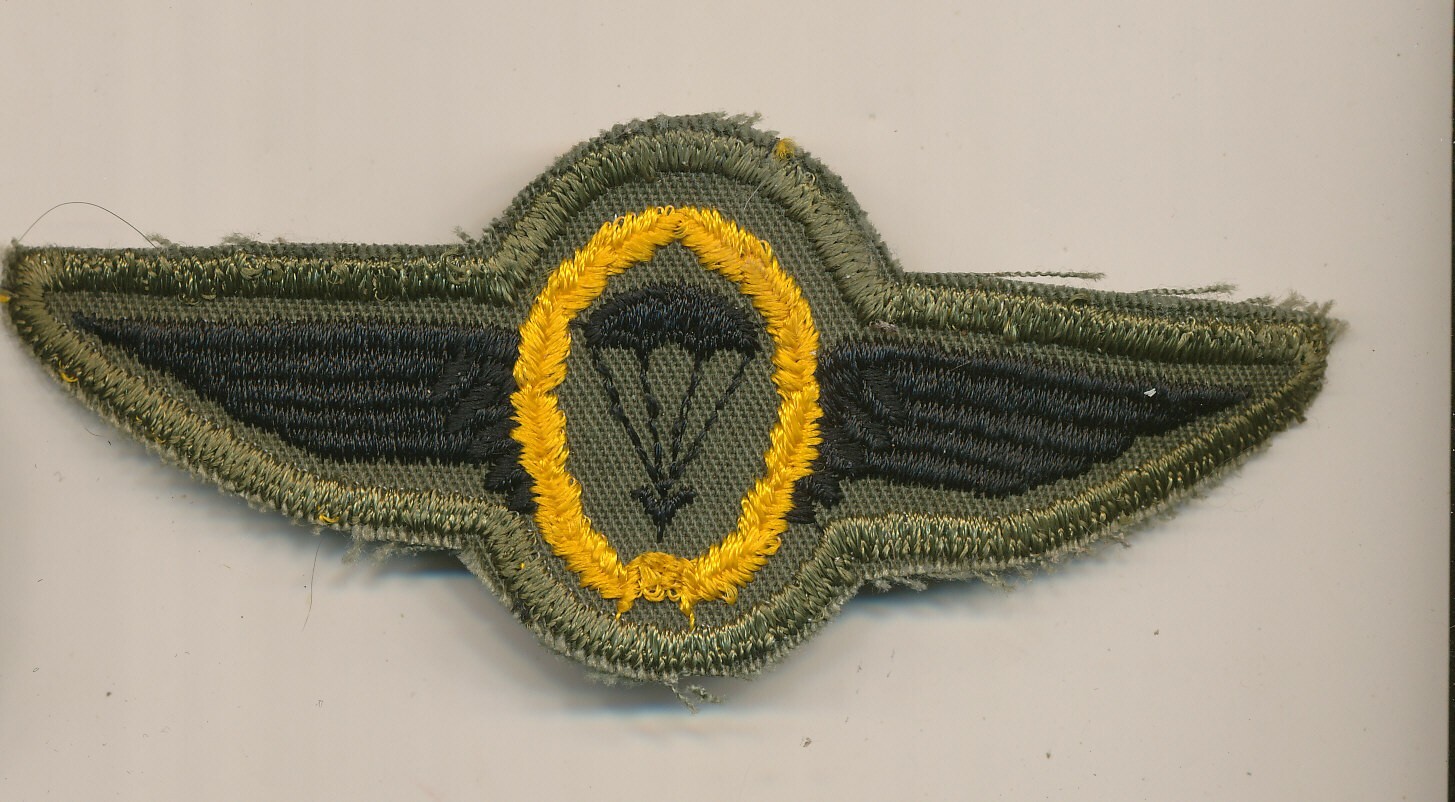 German Parachute airborne wings badge green cloth fatigues Cold War worn by US