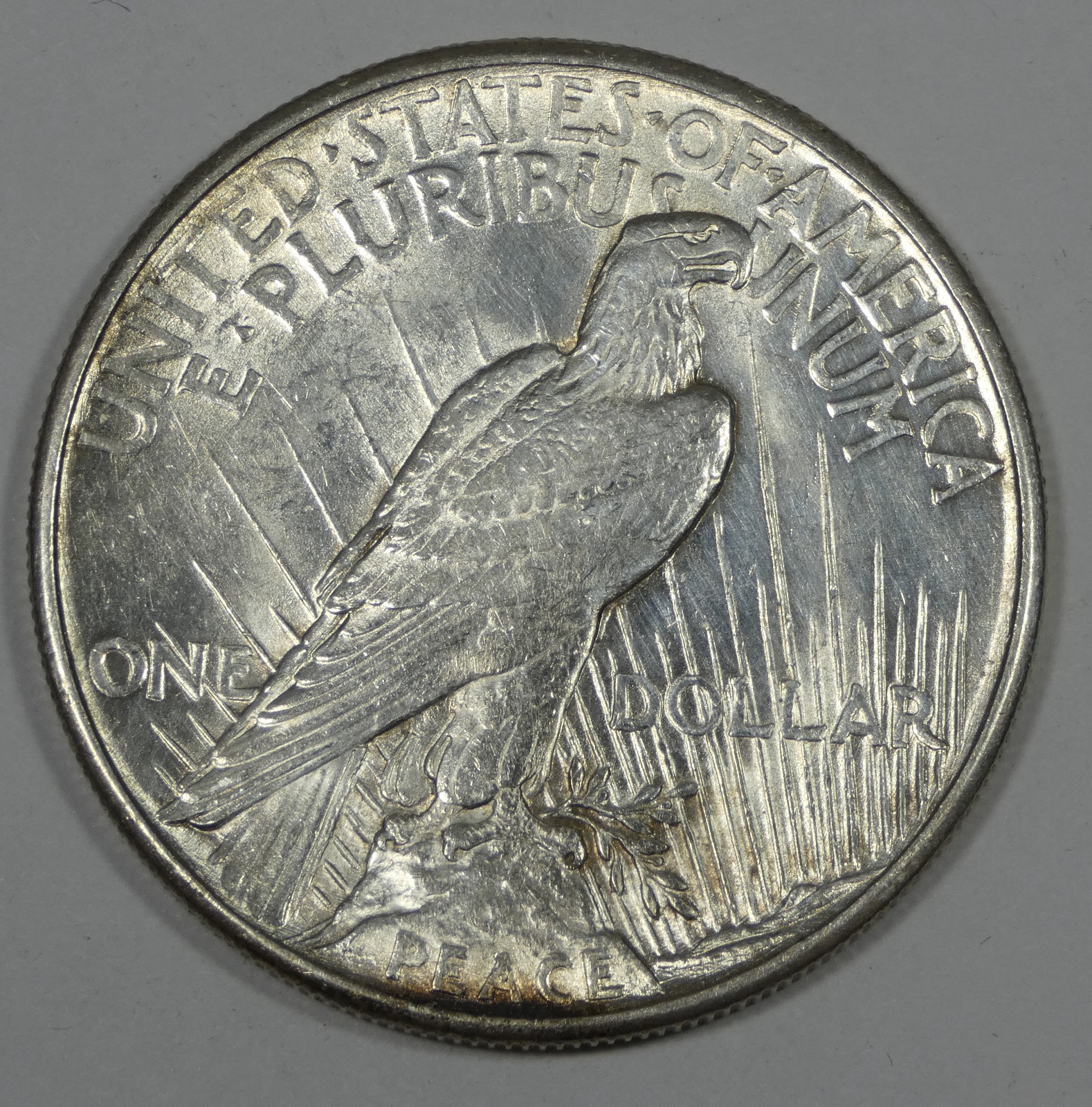 BARGAIN 1921 Peace Dollar UNC Silver Dollar