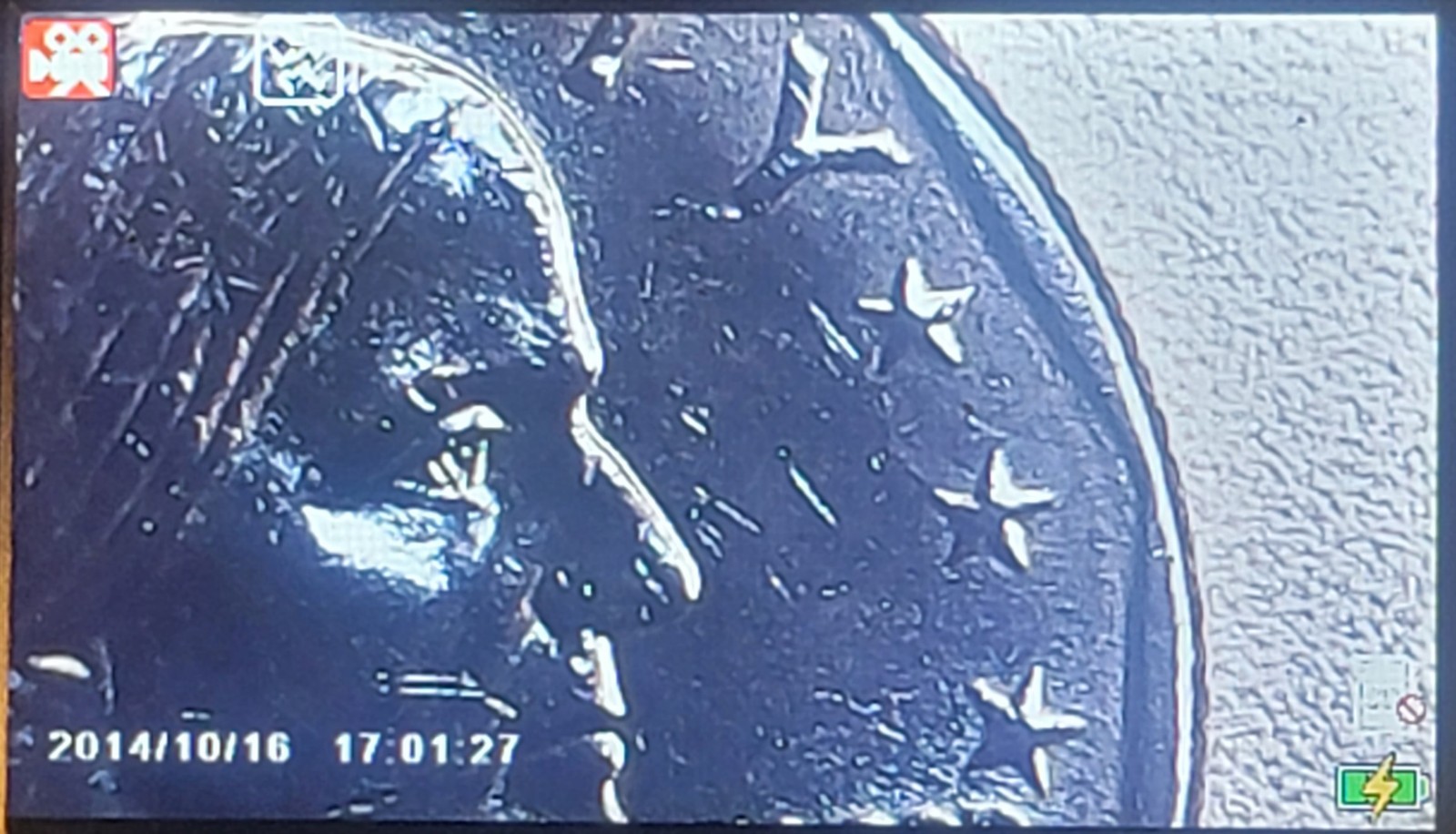 1999-P Susan B Anthony Double Die Strike Error $1 Coin