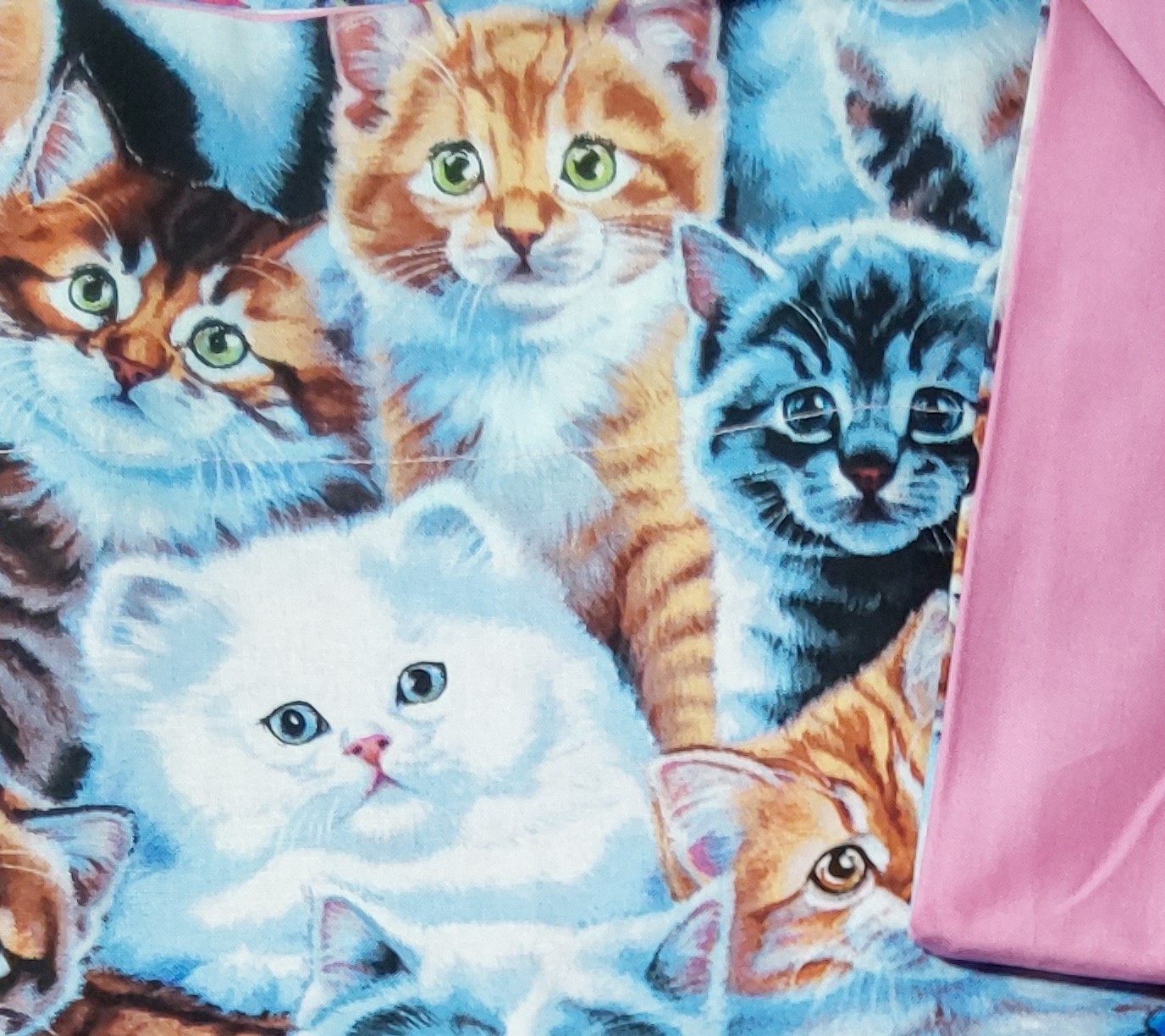 Kids Pillow Cases, Comes With 1, Can Order Two, Print On Front Solid On Back