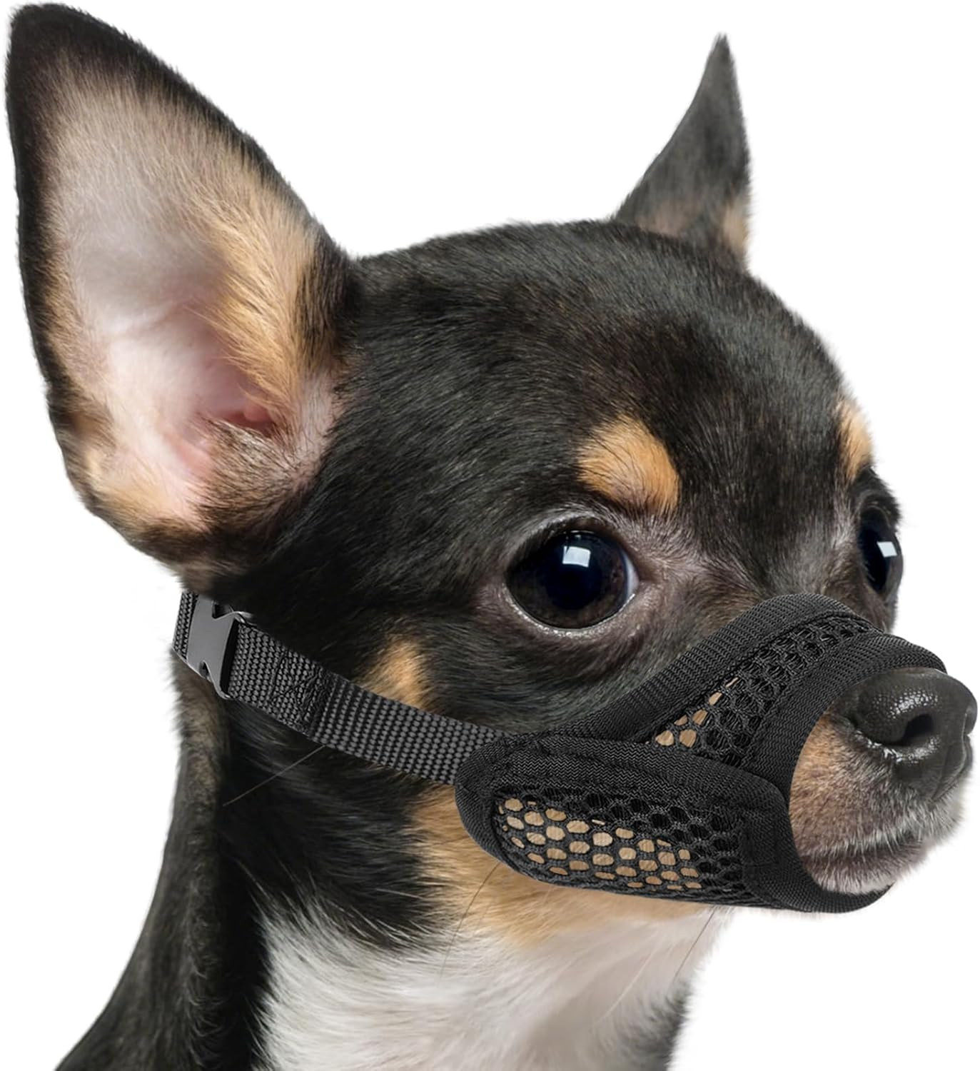 Mayerzon Mesh Muzzle for Short Snout and Small Medium Dogs Anti-Biting, Focus on