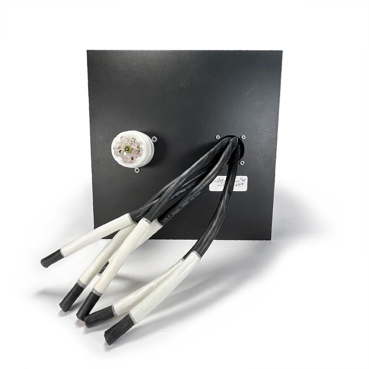 12x12 Plate 19-Pin Female Panel Mount with 1ft Leads and L21-30 Receptacle