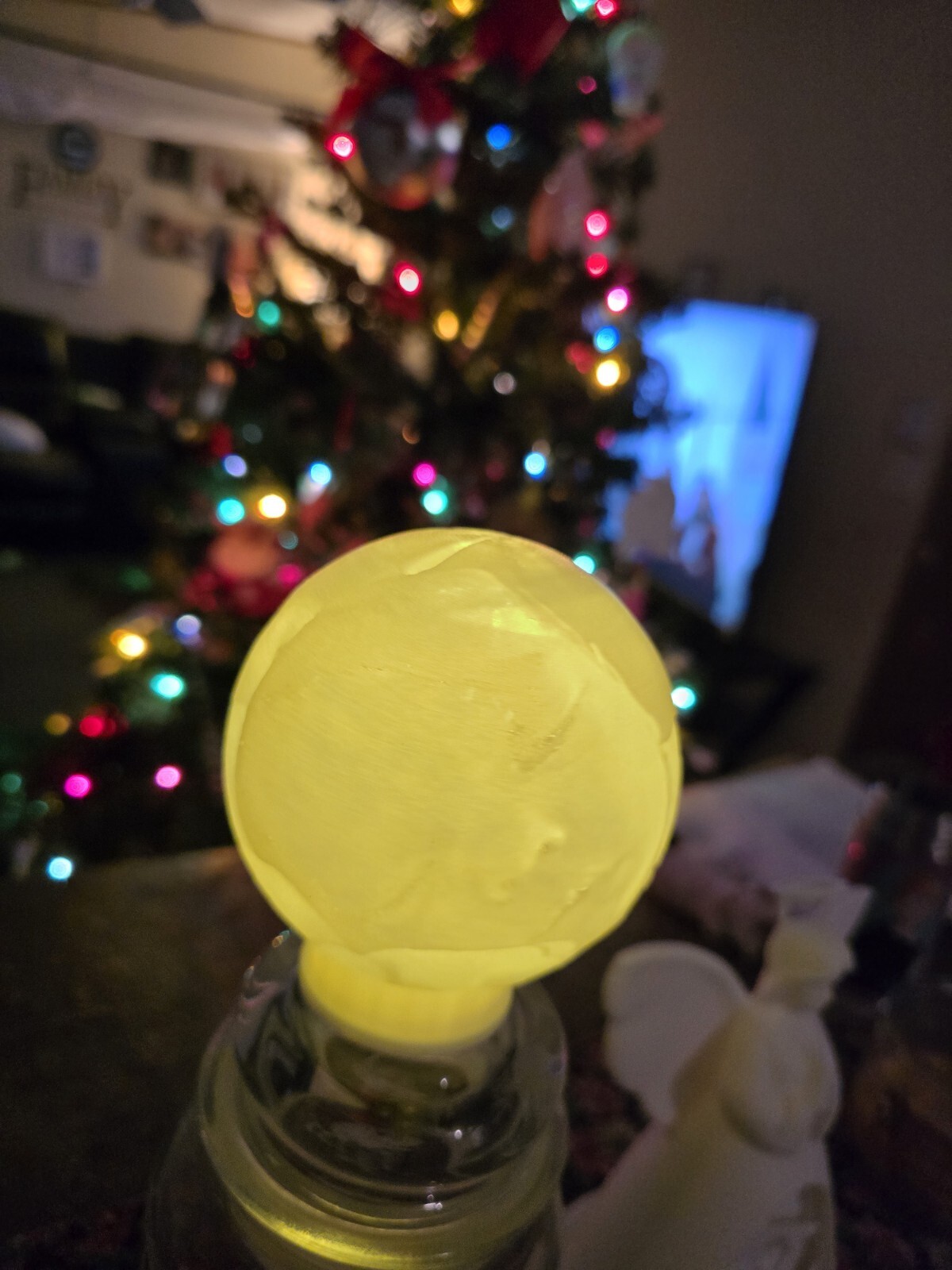 Family Moon