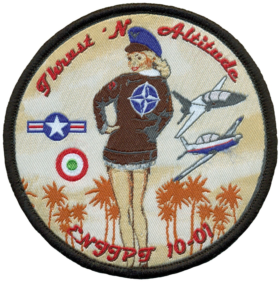 USAF SHEPPARD EURO NATO JOINT JET PILOT TRAINING CLASS 2010-01 PATCH