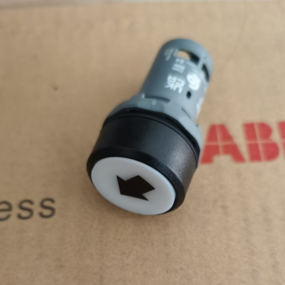 ABB Push Button Switch CP9-1052