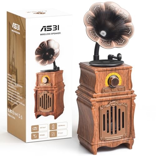 Retro Bluetooth Speaker With FM Radio, Bass, 5.3 Wireless Connect for Home