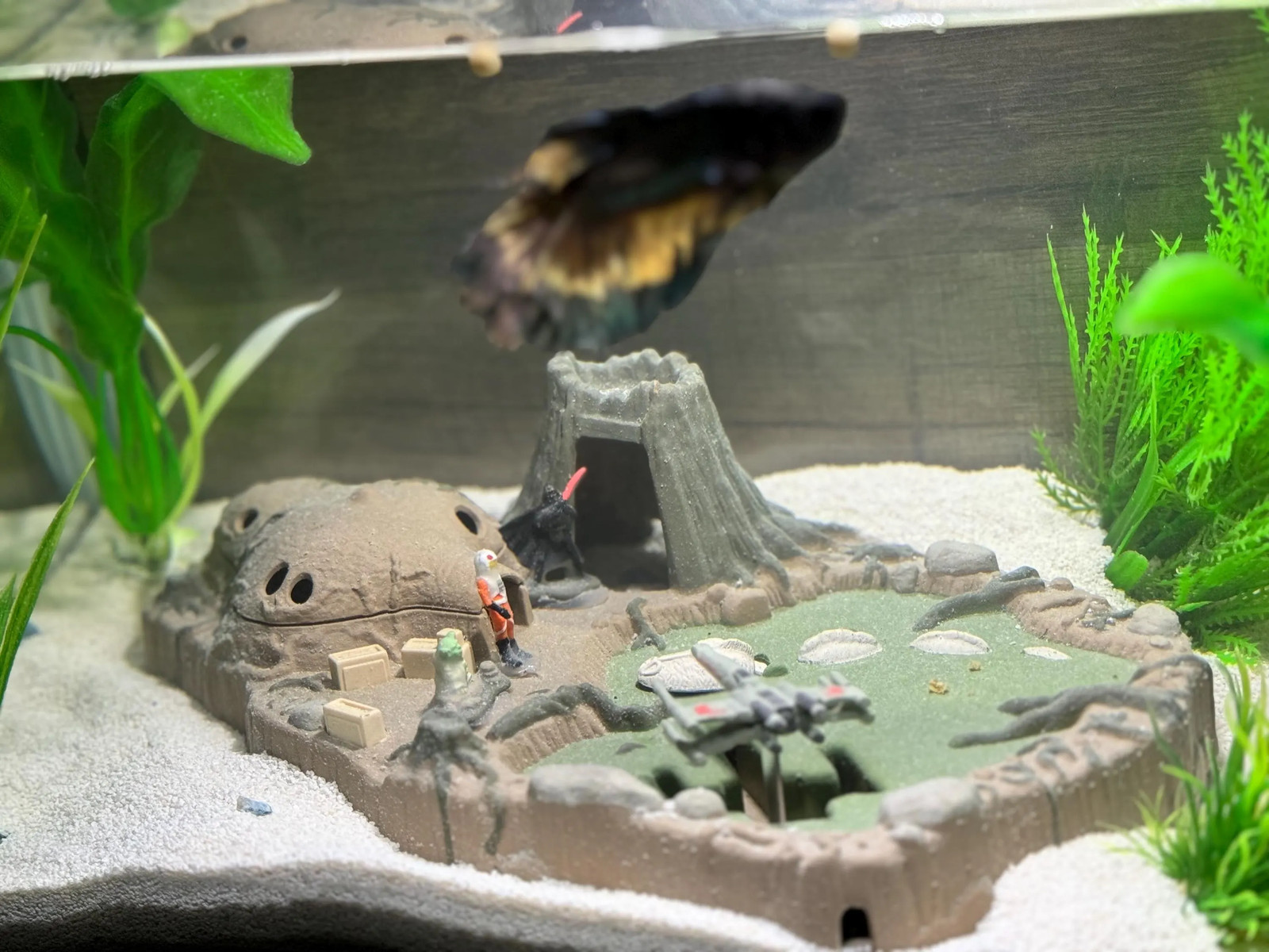 Dagobah Aquarium Decor: Safe Themed Fish Tank Ornament