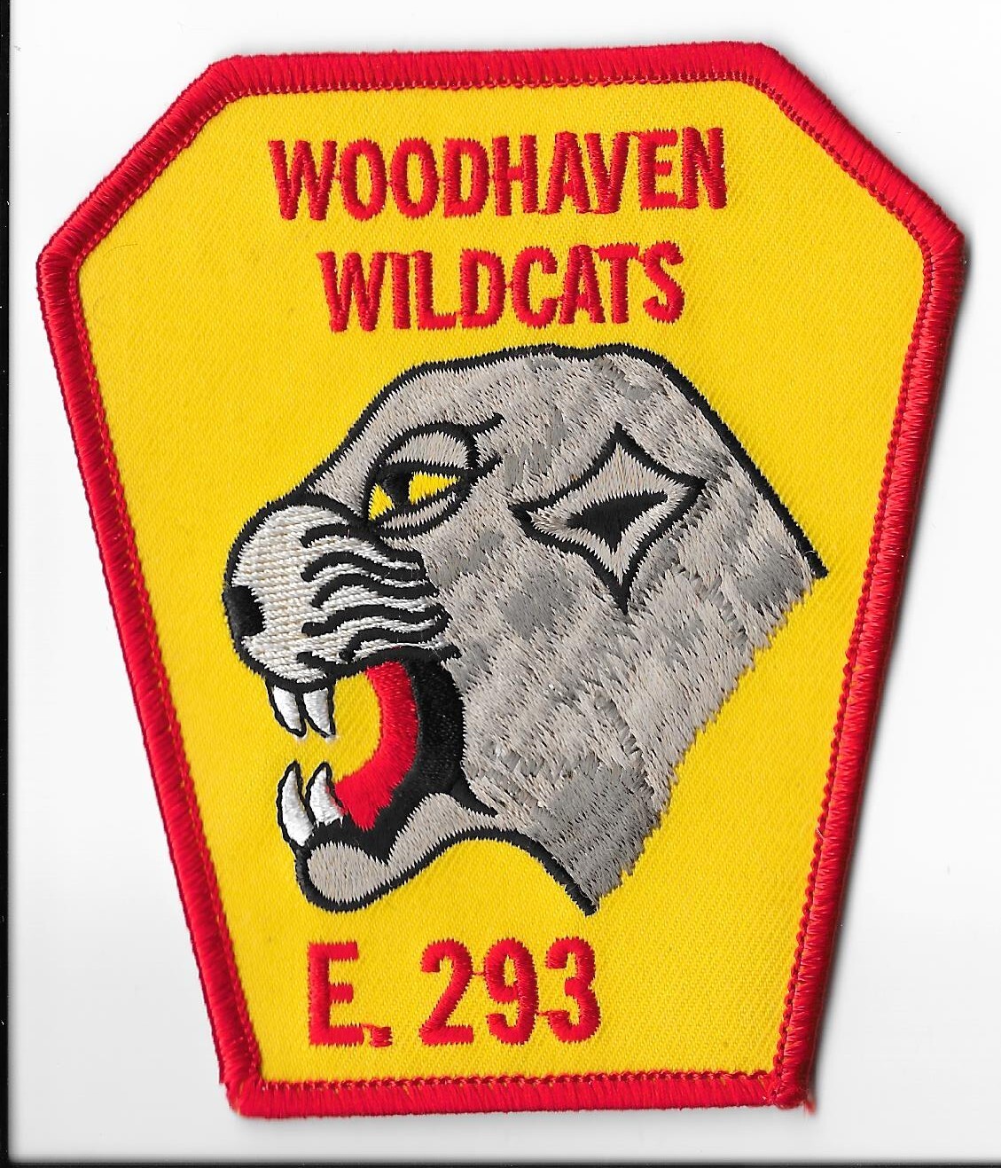 New York Fire Department (FDNY) Engine 293 Woodhaven Wildcats Patch V1