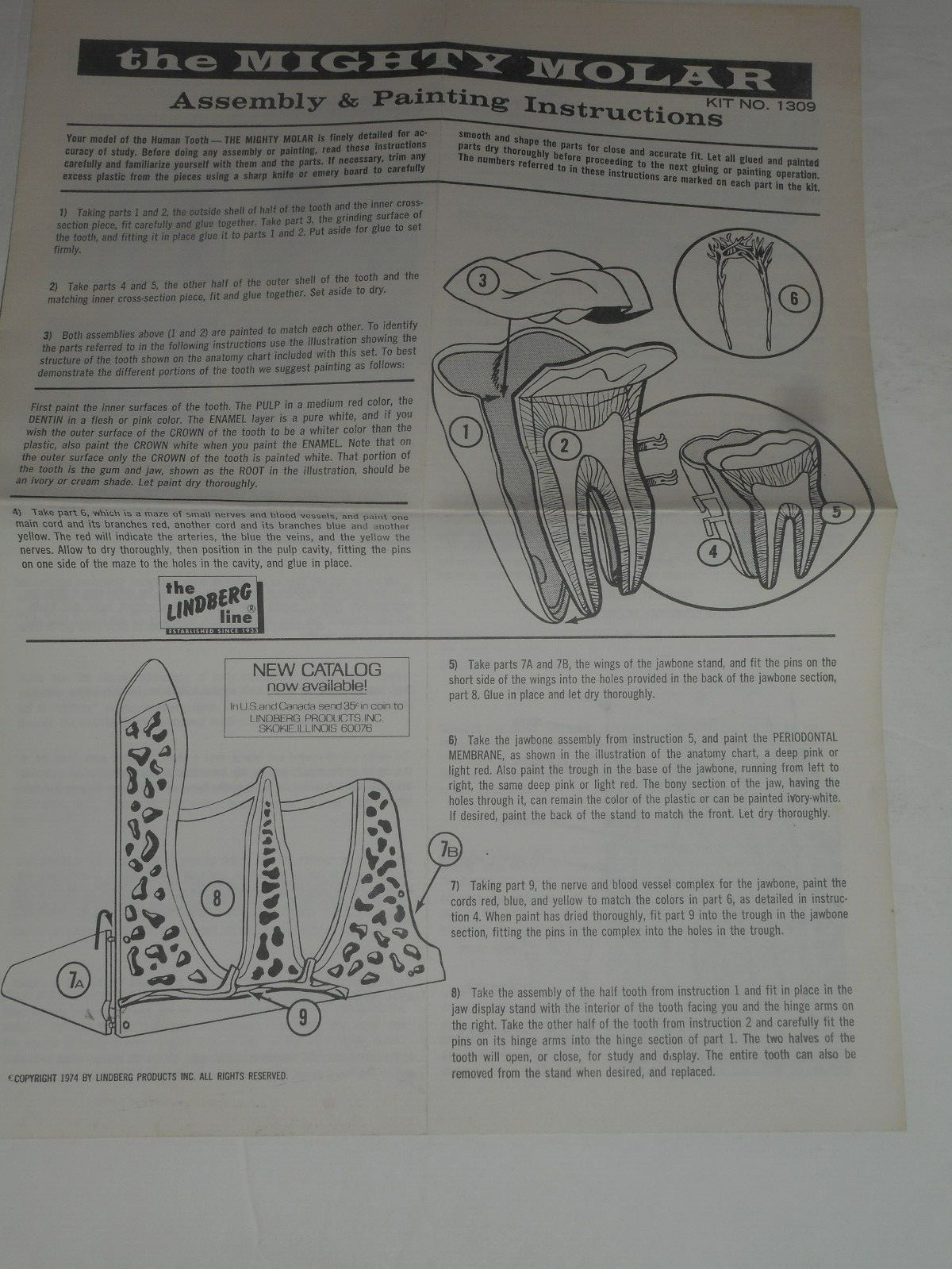 LINDBERG MIGHTY MOLAR Model 1309 Assembly & Painting Instructions ONLY! 1973
